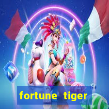 fortune tiger cassino pix